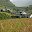 Philippines- Banaue