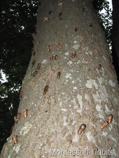 [img_61411%255B3%255D.jpg]