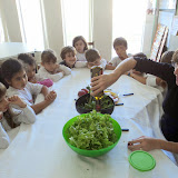 DSC03444.JPG