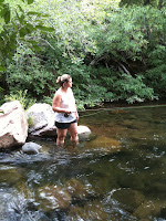 IMAGE_1000000395.JPG Photo