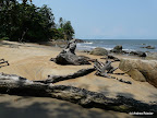 Kribi