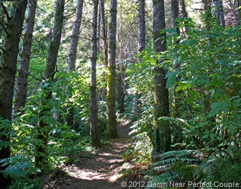 Park Trail