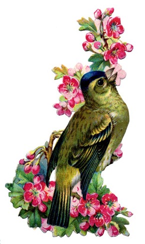 birds and flowers vintage image graphicsfairy2b
