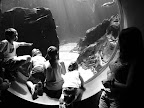 DSCN4084.JPG