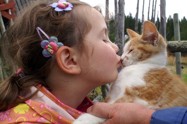 [minivets%255B3%255D.jpg]