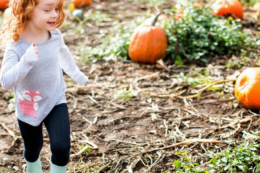 [IMG_1061%255B4%255D.jpg]