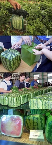 [viral-picdump-pics-45%255B2%255D.jpg]