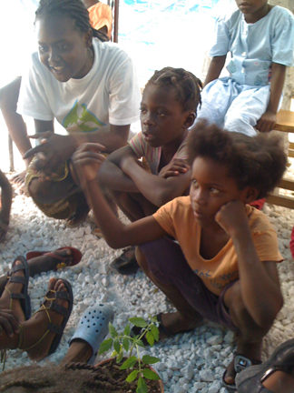 Children learning about sustainable agriculture.