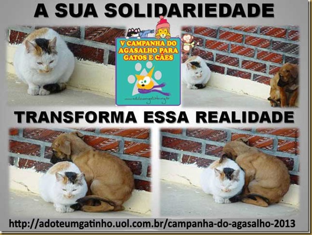 A pessoa tem vermes