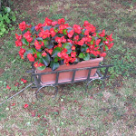IMG_1216.jpg