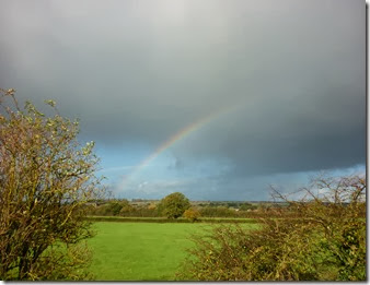 rainbow at sells green