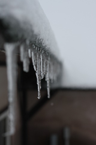 IMG_3085 IMG_3085