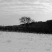 DSCF1235.JPG