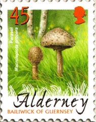 img282 img282