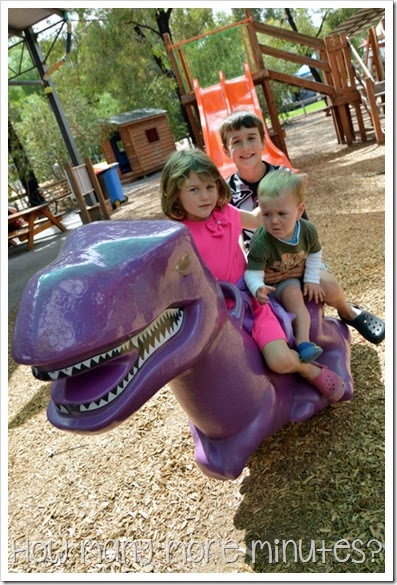 Kidstown Playground in Shepparton ~ How Many More Minutes?