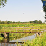 natuur 018.jpg