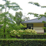 Tuin voor tuinwedstrijde 027.jpg