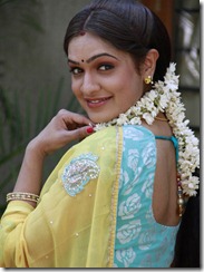 Telugu Actress Aditi Agarwal Saree Photos