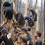 P1010655.jpg P1010655.jpg