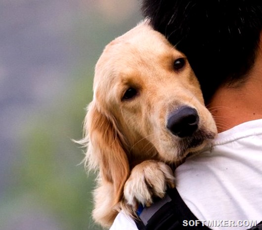 shutterstock_136164980-605x430