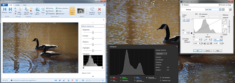 histogram-31