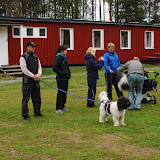 Kennelträff 2010