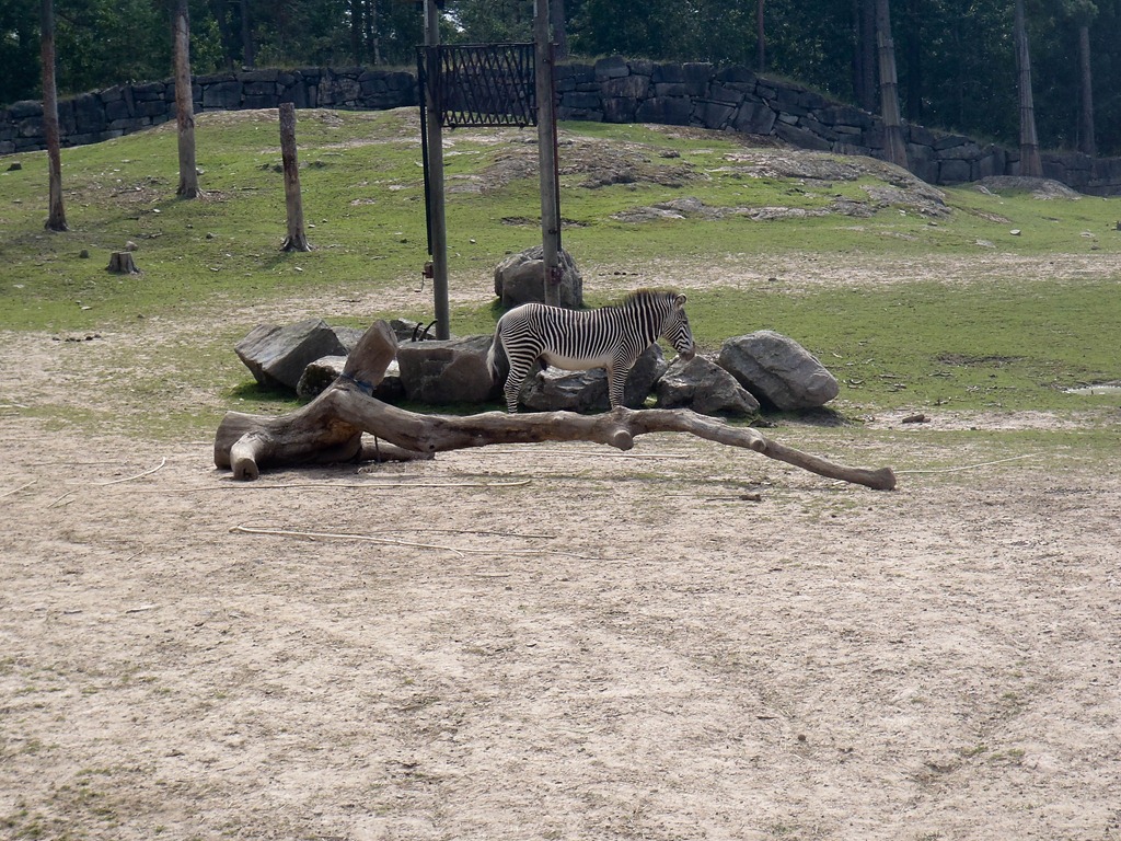 [P7301830%255B4%255D.jpg]