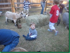 ty in farm ty in farm