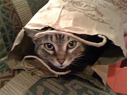 Brown paper packages...

Roxie - Cordova, TN
