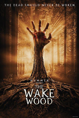 Poster Age of the Dragons (2011)