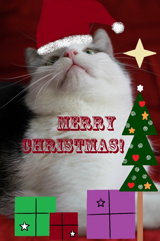 schafi christmas