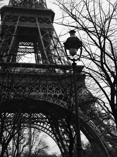Film-120-#16--11