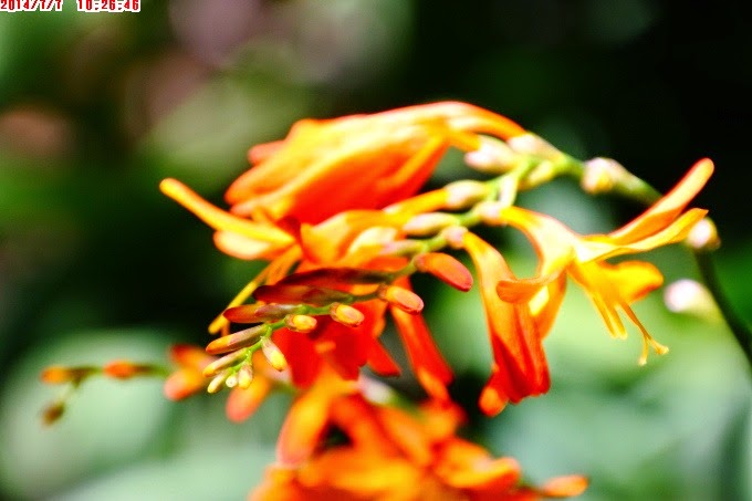 2014_0707_102646 2014_0707_102646