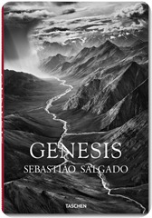salgado_genesis_trade