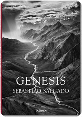 salgado_genesis_trade salgado_genesis_trade