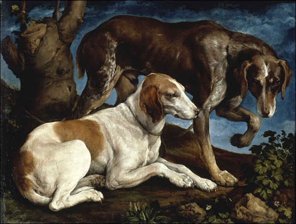 Jacopo Bassano, Les deux chiens de chasse du comte Zantani 1548 Jacopo Bassano, Les deux chiens de chasse du comte Zantani 1548