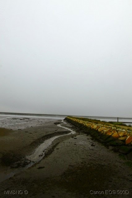 [IMG_0986%255B4%255D.jpg]