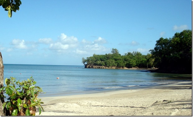 stlucia
