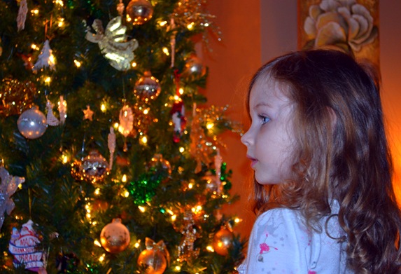 DSC_0121 DSC_0121