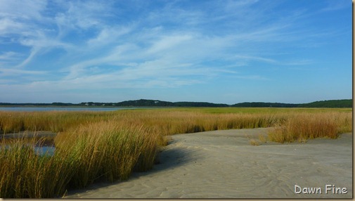 Wellfleet Audubon_012