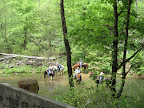 Bowed Tree Crossing of Lusk Creek