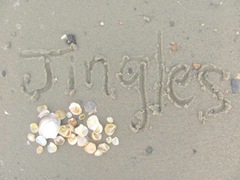 Cape Cod writing in the sand Jingles