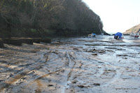 IMG_6050.JPG Photo