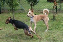k_IMG_0531 k_IMG_0531