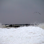 PC243060 [640x480].JPG