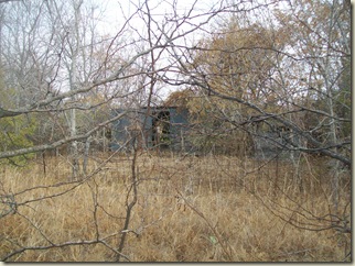 fall potatoes-3 ponds- bees 019