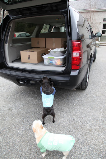 Hey Sharkey, Arshad just returned from the TV studio in NYC with a car load of stuff.  Something smells a lot like food.  Would you come here and confirm?