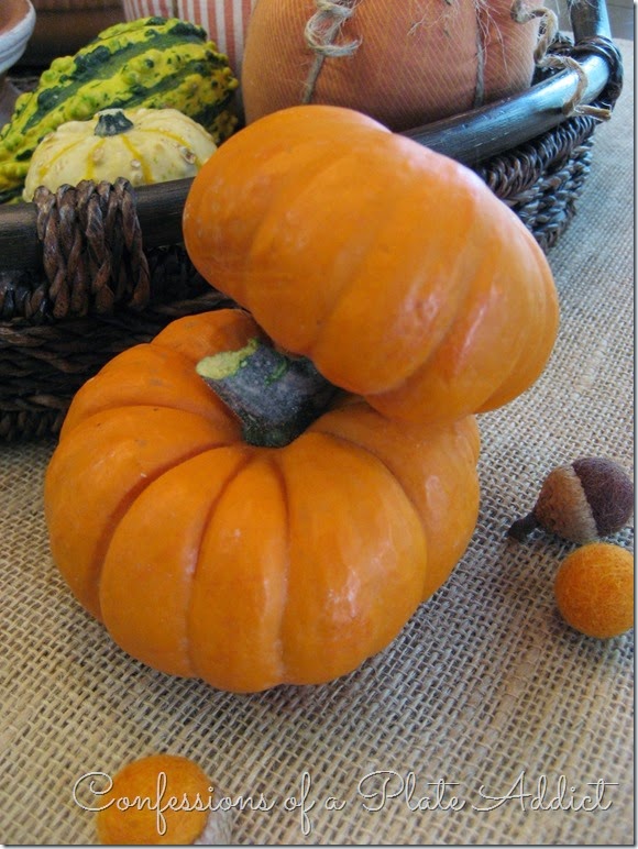 CONFESSIONS OF A PLATE ADDICT Terracotta and Pumpkins Fall Centerpiece CONFESSIONS OF A PLATE ADDICT Terracotta and Pumpkins Fall Centerpiece