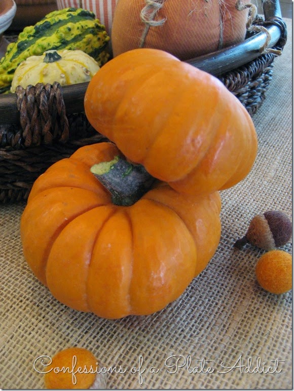 CONFESSIONS OF A PLATE ADDICT Terracotta and Pumpkins Fall Centerpiece