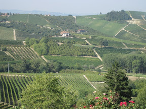piemonte wine tours